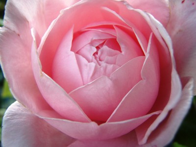 f:id:bluemoonbell:20080607052414j:image