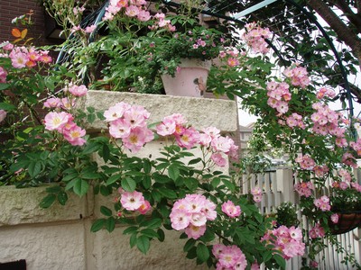 f:id:bluemoonbell:20080610074401j:image