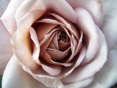 f:id:bluemoonbell:20080610160357j:image