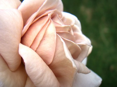 f:id:bluemoonbell:20080611093403j:image