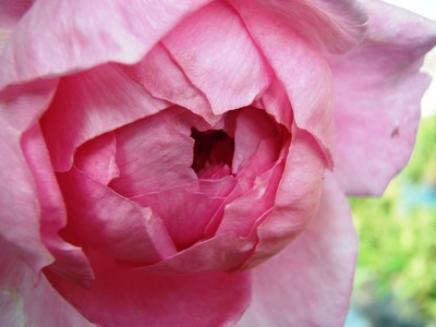 f:id:bluemoonbell:20080613055728j:image
