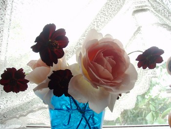 f:id:bluemoonbell:20080623115808j:image