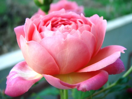 f:id:bluemoonbell:20080702055222j:image