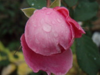 f:id:bluemoonbell:20081110065216j:image