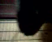 20081228141925