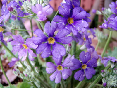 f:id:bluemoonbell:20090213130427j:image