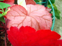 20090422142626