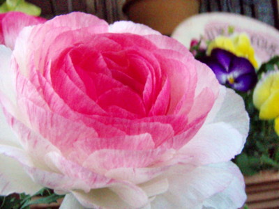 f:id:bluemoonbell:20090424064604j:image
