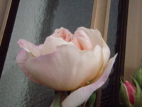 20090504055527