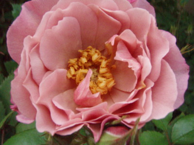 20090504070802