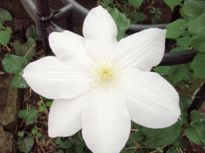 20090507112404