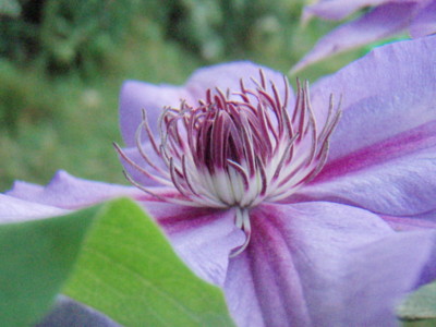 f:id:bluemoonbell:20090509051623j:image