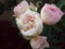 20090510051500