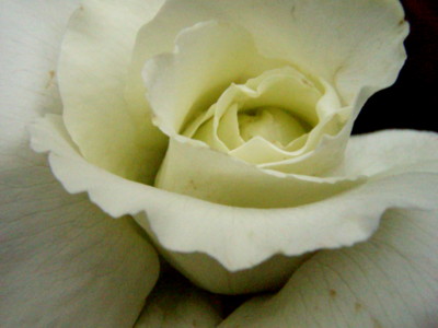 f:id:bluemoonbell:20090513173431j:image