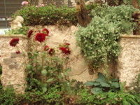 f:id:bluemoonbell:20090514122853j:image