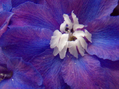 f:id:bluemoonbell:20090518060820j:image