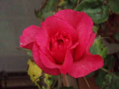 f:id:bluemoonbell:20090524060959j:image