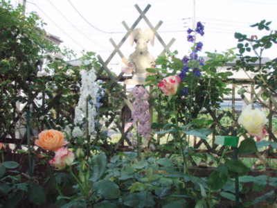 f:id:bluemoonbell:20090525145221j:image