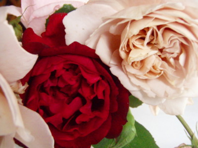 f:id:bluemoonbell:20090530045956j:image