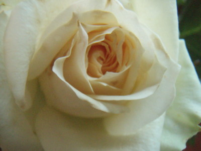 f:id:bluemoonbell:20090531055542j:image