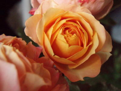 f:id:bluemoonbell:20090614122714j:image