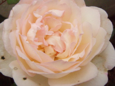 20090614123406
