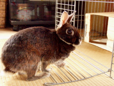 f:id:bluemoonbell:20090711093104j:image f:id:bluemoonbell:20090711093104j:image