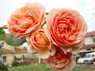 20090714070513