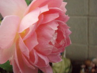 20090817055950