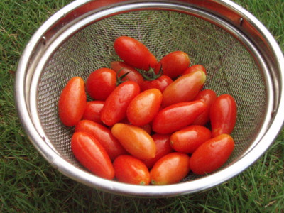 f:id:bluemoonbell:20090826060151j:image f:id:bluemoonbell:20090826060151j:image
