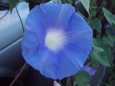 f:id:bluemoonbell:20090920071529j:image f:id:bluemoonbell:20090920071529j:image