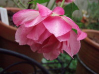 f:id:bluemoonbell:20091018061640j:image