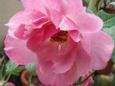 f:id:bluemoonbell:20091019064740j:image