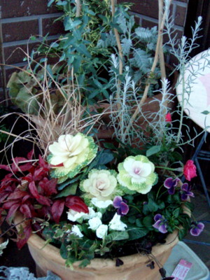 20091222071542
