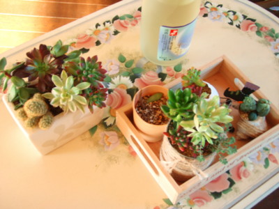 f:id:bluemoonbell:20100114083204j:image