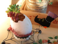 f:id:bluemoonbell:20100114083346j:image