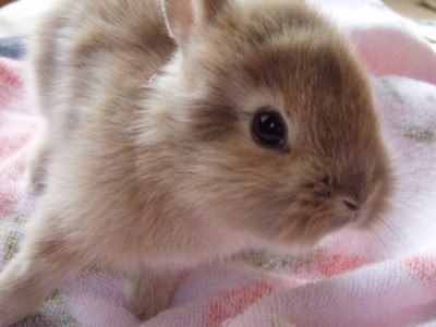 20100224135435