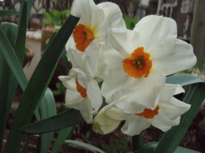 f:id:bluemoonbell:20100318073442j:image f:id:bluemoonbell:20100318073442j:image