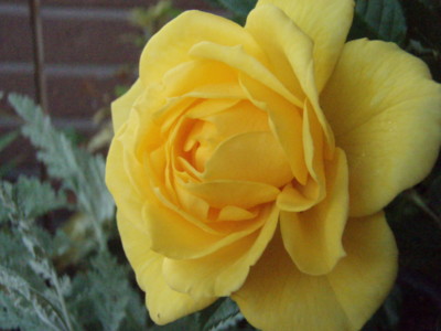 f:id:bluemoonbell:20100518063400j:image