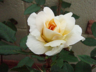 20100522164759