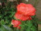 20100525062759