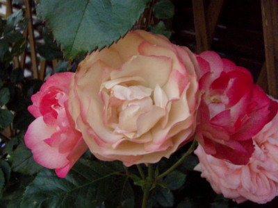 20100528164756