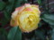 20100605162534
