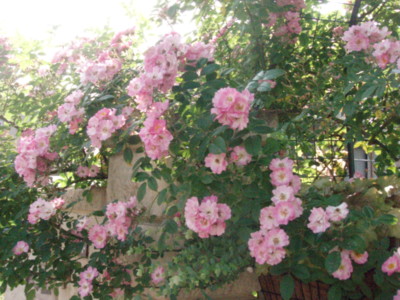 20100612072308