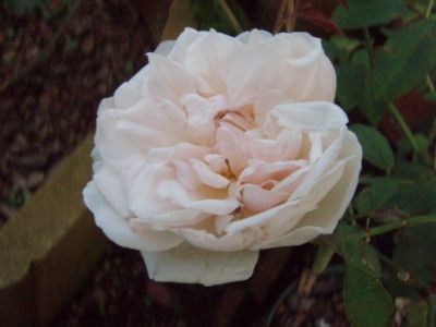 f:id:bluemoonbell:20101015135743j:image