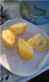 f:id:bluemoonbell:20101016174148j:image:left