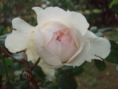 f:id:bluemoonbell:20101020060727j:image