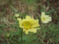 f:id:bluemoonbell:20101108065447j:image