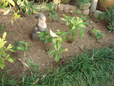 f:id:bluemoonbell:20101112152111j:image f:id:bluemoonbell:20101112152111j:image