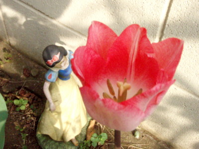 f:id:bluemoonbell:20110416153927j:image
